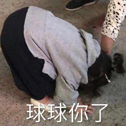 示例图片